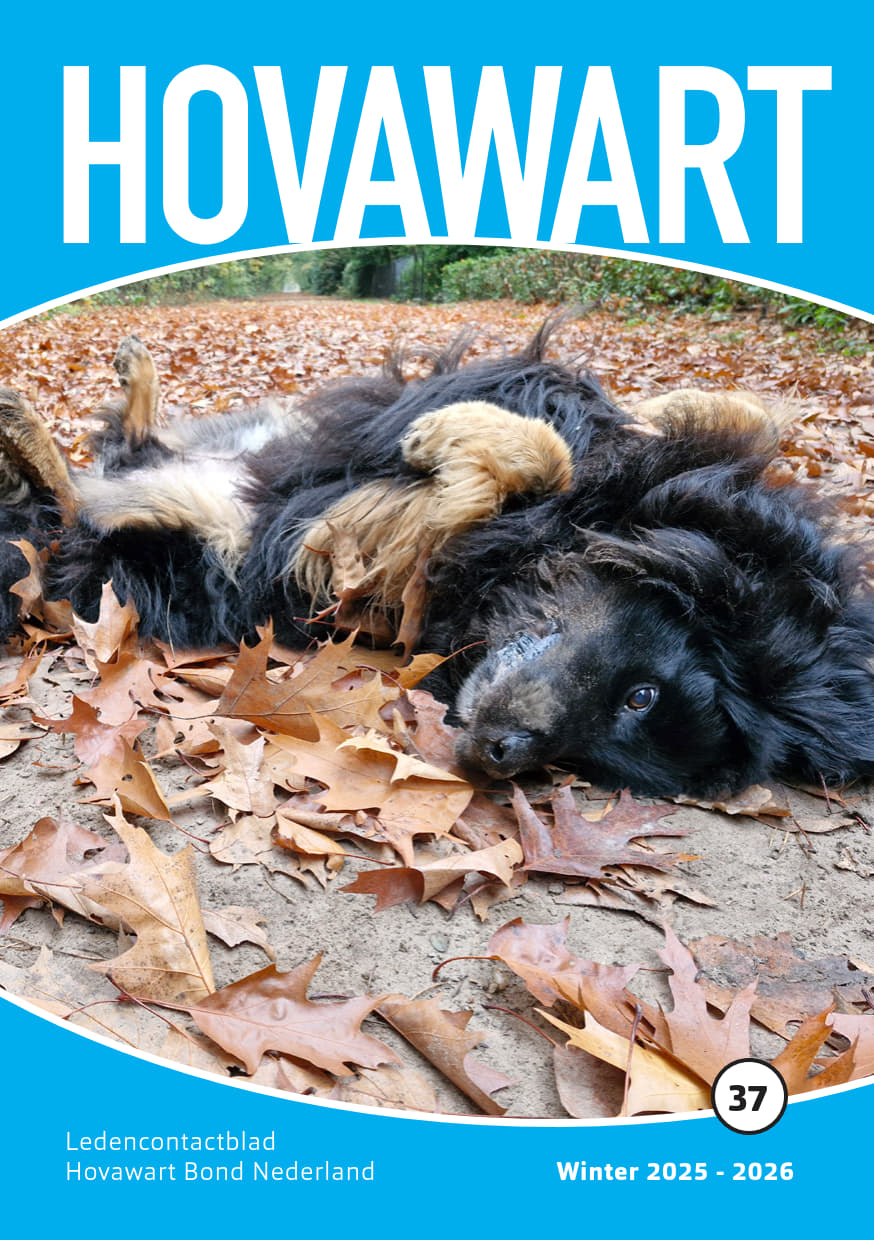 HBN Clubblad No37 Winter 2025 Voorblad